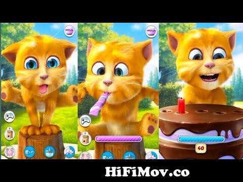 how to talking tom ginger 2 funny video talking ginger #shorts from talking  ginger video download Watch Video 