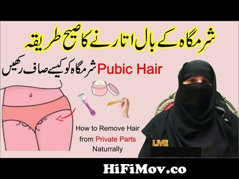 How To Shave Your Balls & Pubes | Niche ke Baal Ko Kaise Remove Kre | Clean  Your Balls In hindi | from baal ko Watch Video 