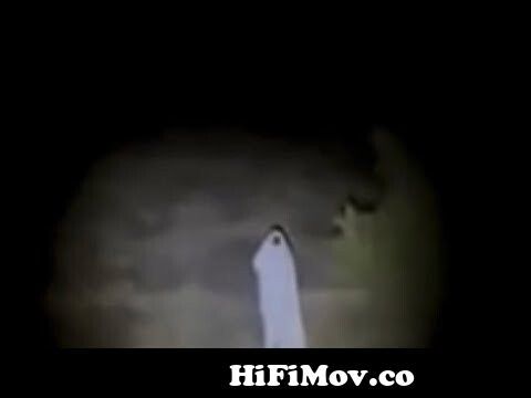 lens hoofdonderwijzer overdracht Real jinn caught on camera. Arabian ghost videos and horror footage of jinn.  from real jin Watch Video - HiFiMov.co