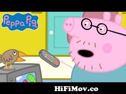 Peppa's Camper Van Holiday 🐷🏕 Peppa Pig Official Channel Family Kids  Cartoons from cartoon can Watch Video 