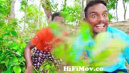 Eid Special Don_t Miss New Unlimited Funny Viral Trending Video 2022  Episode 133 By Busy Fun Ltd from bangla new gang fun Watch Video -  