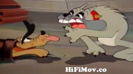 Mickey Mouse - Mickey Mouse and Pluto Dog Best Cartoons - Best Cartoons -  Disney Donald Duck, Clubhouse Full Episodes from carton video download hd  Watch Video 