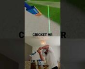 VR Cricket Guy