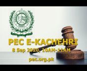 Pakistan Engineering Council