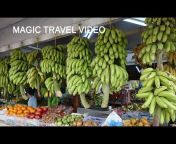 Magic Travel Video