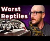Wickens Wicked Reptiles