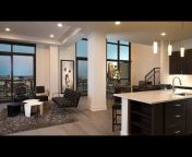 Live Dallas Realty &#124; Luxury Apartment Locators