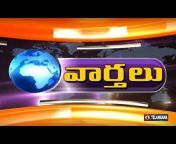 DD NEWS Telangana