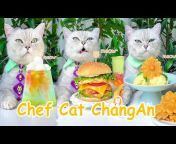 Chef Cat ChangAn