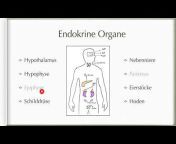 MedArtOnline - Medizinische Lehrvideos