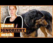 DOGsTV - Online Hundetraining