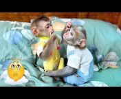 Monkey Mon