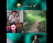 Persian YouTuber shorts video