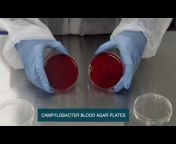 Sure-BioChem Laboratories