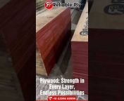 Reliable Ply