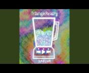 TriangleReality - Topic