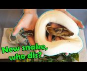 Snake Discovery