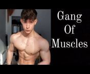 Gang of muscles