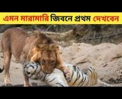 Bangla Wild Show