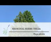 CommonWealth Herbs