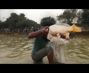 Bangladeshi Fish