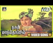 TM Soundararajan - Tamil Songs 4K