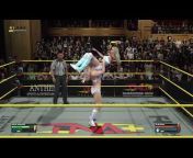 VVP WrestlingGame Play Content