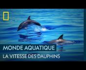 National Geographic Wild France