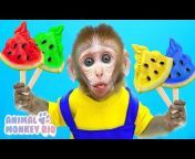 Animal Monkey Rio