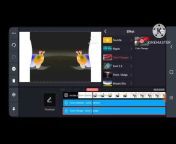 Phoenix Bot The Effect Video Maker