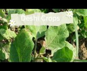 Deshi Crops