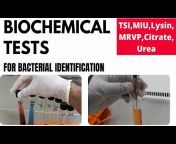 MicroChem&#39;s Experiments