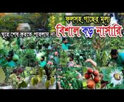 Nil Bangla Krishi