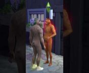 Sims it up