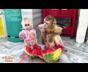 Monkey KaKa