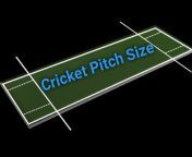 Cricket Flyer