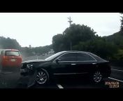 Daily Car Videos