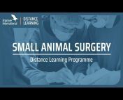 Improve Veterinary Education UK