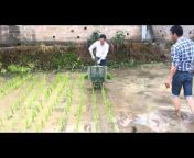 manual rice planter
