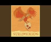 Strangebirds - Topic