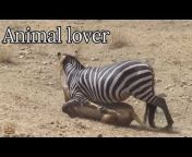 Animal lover 💞 🕊️