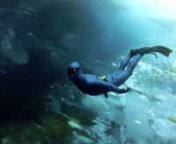 WORLD CHAMPION FREEDIVER, STIG SEVERINSENnBREAKS NEW WORLD RECORDn500 FEET UNDER ICE - ON A SINGLE BREATH OF AIRnnAce &amp; Ace and Back2Back produced the 2x 60 minutes TV-show