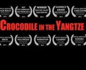 Crocodile in the Yangtze follows China&#39;s first Internet entrepreneur and former English teacher, Jack Ma, as he battles US giant eBay on the way to building China&#39;s first global Internet company, Alibaba Group.An independent memoir written, directed and produced by an American who worked in Ma&#39;s company for eight years, Crocodile in the Yangtze captures the emotional ups and downs of life in a Chinese Internet startup at a time when the Internet brought China face-to-face with the West.nnCroco