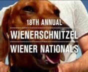 For 18 years Wienerschnitzel and Los Alamitos Race Course have hosted the world famous Wiener Nationals - a wiener dog race to end all races, fast, furious and full of fur. Proceeds benefit the Seal Beach Animal Care Center. nnAnd as an awesome bonus the video was chosen by GoPro as a Video of the Day.
