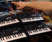 A demo of the Expert Sleepers ESX-8MD module driving seven MIDI synths, all with sample accuracy.nnFour Arturia MicroBrutes and a Korg Volca Bass are running their internal sequencers, synced to MIDI clock. An Akai AX-80 and a DSI Prophet &#39;08 are both receiving polyphonic pad parts.nnhttp://www.expert-sleepers.co.uk/esx8md.html