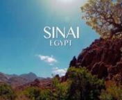 Video showcasing the beauty of the Sinai.nnFilmed entirely on GoPro Hero 3 Black Edition between February and April 2014 while helping the University of Nottingham research the importance of Bedouin gardens to biodiversity.