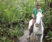 Bridleless and Bareback in the rainforest from parelli