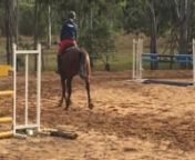 Stunning bay marenn6yo 16.1hhnnSireCooperitnDam Belcam Adelaide (Argentinus) nnBeautiful well bred bay mare, is a elegant type with with correct legs and a pretty head.nnHas established flat work with 3 lovely floating paces.nnProven broodmare. nnReady to compete, lovely dressage prospect. Could be your next superstar! nn&#36;7,000 FIRMnnFor more information call or text 0447 883 970