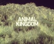 Project Name: Animal Kingdom Main TitlesnRunning Time: :60nDebut Date: 6/14/16nDigital Cinema Systems: Phantom Flex4k with Cooke S4 prime lenses and diopters; ARRI Alexa with Cooke S4 prime lenses; Sony A7r II; Canon C300 Mark II with Zeiss CP2 primes.nKey Post-Production Tools: Final Cut Pro for editing; Adobe After Effects for design, effects and animation; Autodesk Flame for conform, clean-up and finishing.nOfficial Site: http://www.tntdrama.com/shows/animal-kingdom.htmlnnClient: John Wells P