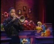 May 9, 1991nSesame Street (Season 22, Episode #2874)nnHoots welcomes everyone to Birdland, and introduces Duck Ellington and the Sesame Street All-Animal Jazz Ensemble, with special guest Wynton Marsalis. They perform a new version of